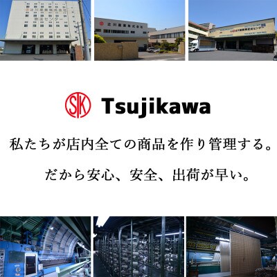 カーペット 日本製 抗菌防臭 軽量薄手 ジェミニ 176×261cm 江戸間 3畳用 ブルー