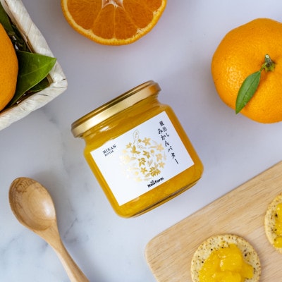 【2026年4月以降順次発送予定】大阪府和泉市　蔵出しみかんバター　スプレッド　190g×1　贈答品