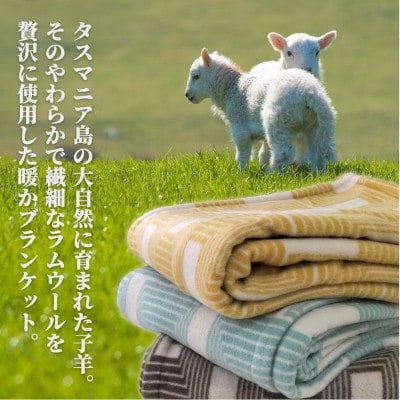 【キングサイズ】洗えるタスマニアラムウール混毛布 220×200cm イエロー OTW-K