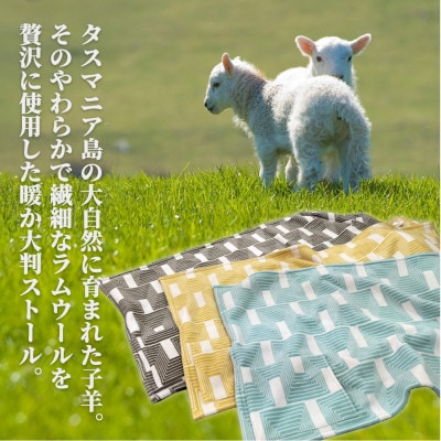 【ポケット付】洗えるタスマニアラムウール混大判ストール 70×180cm ブラウン OTW-7018