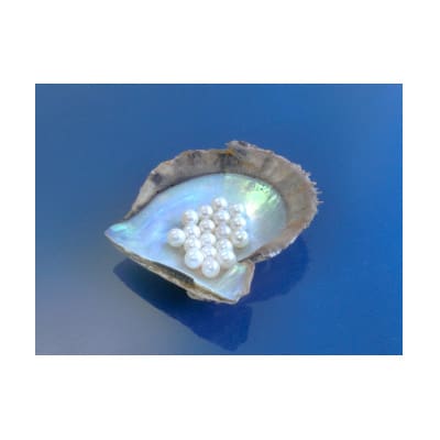 あこや本真珠ペンダント　7.5～8mm玉【配送不可地域：沖縄県】