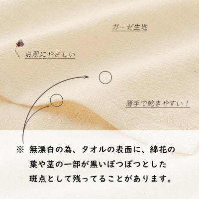 さらり＆ふんわりガーゼパイルフェイスタオル10枚＆やわらかガーゼフェイスタオル10枚セット(薄手)