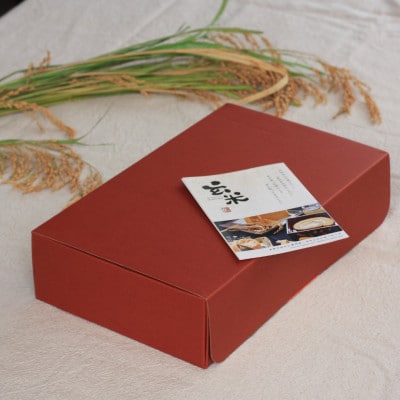 和泉市　クッキー(5種　10本入り)＆カステラ(2種)食べ比べセット