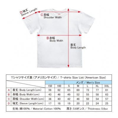 手描きTシャツ 仏画 大日如来 金剛界 白 (半袖 Mサイズ)