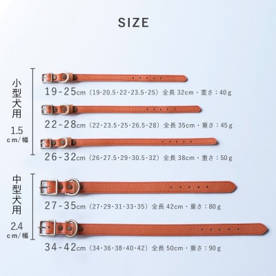 首輪 本革 イタリアンレザー オレンジ 中型犬用 (34-42センチ)ペット用品【dc-01ss】