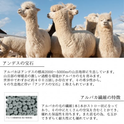 【シングルサイズ】アンデスの宝石 アルパカ100%(毛羽部分)毛布 140×200cm AL-S