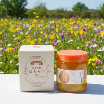 大阪府和泉市　国産天然はちみつ(600g×2)　日蜂協会員　無添加　自家採蜜　大植養蜂園
