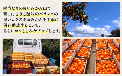 隠れ名産地　蔵出し熟成和泉みかん(中玉・大玉サイズミックス)5kg