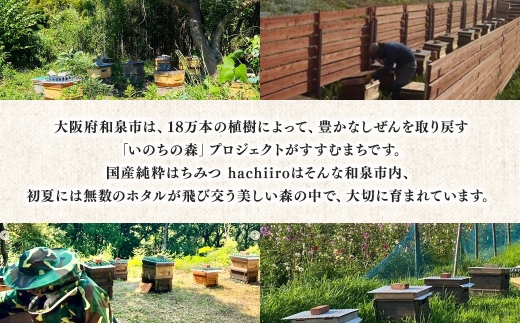 【1種】 いずみつ(百花蜜)200g　 倒立型 蜜切れ抜群ボトル