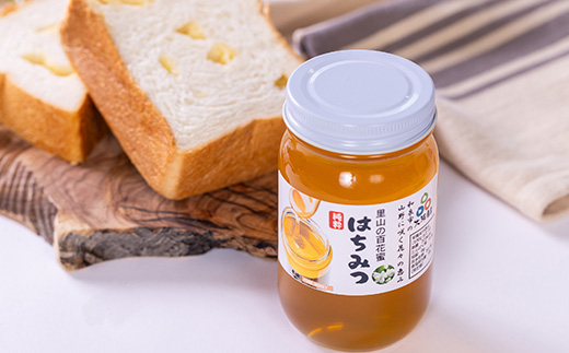 道の駅で大人気のハチミツ(300g瓶詰×1本)