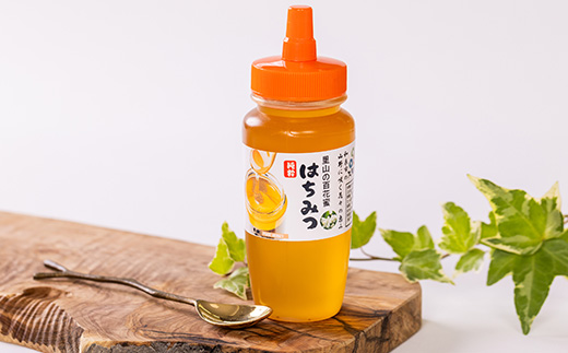 道の駅で大人気のハチミツ(250gノズル付きボトル　2本)