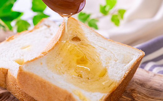 道の駅で大人気のハチミツ(使い勝手の良いプラ容器300g×2本)