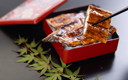 絶品!!国産うなぎ蒲焼き　特大サイズ(約200g)【配送不可地域：離島】