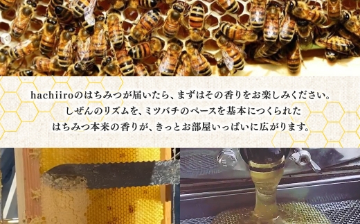 【1種】 いずみつ(百花蜜)200g　 倒立型 蜜切れ抜群ボトル