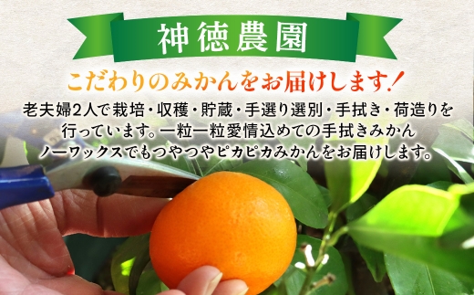 隠れ名産地　蔵出し熟成和泉みかん(中玉・大玉サイズミックス)5kg