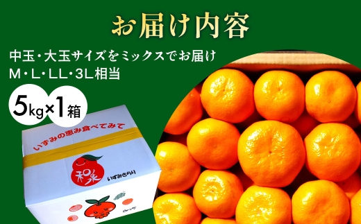 隠れ名産地　蔵出し熟成和泉みかん(中玉・大玉サイズミックス)5kg