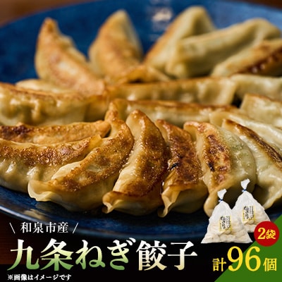 大阪府和泉市産の九条ネギを使用した冷凍餃子　48個入×2パック(計96個)　道の駅で大好評!【配送不可地域：離島】