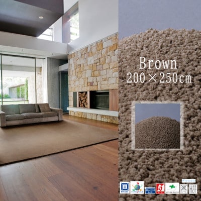 高密度＆素足に心地よいソフトタッチ カーペット (サキソニー) ブラウン【200×250cm】