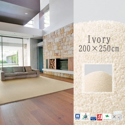 高密度＆素足に心地よいソフトタッチ カーペット (サキソニー)アイボリー【200×250cm】