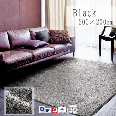 【200×200cm】ネオグラス 　カーペット 　ラグ　　カラー:ブラック