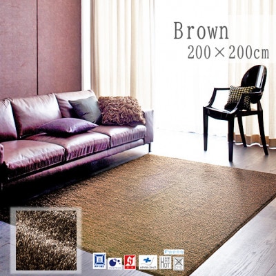 【200×200cm】ネオグラス 　カーペット 　ラグ　　カラー:ブラウン