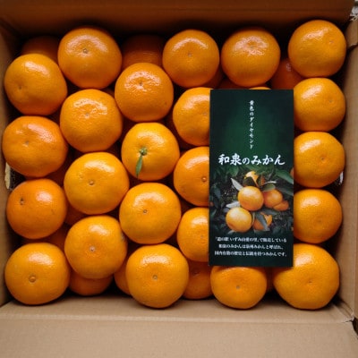 隠れ名産地　和泉みかん温州早生(小玉中玉大玉サイズミックス)　10kg