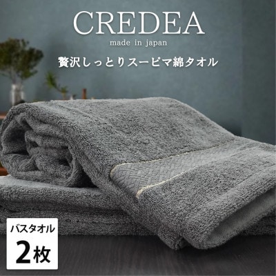 【バスタオル2枚組】贅沢スーピマ綿バスタオル(60×120cm)クレディアGY