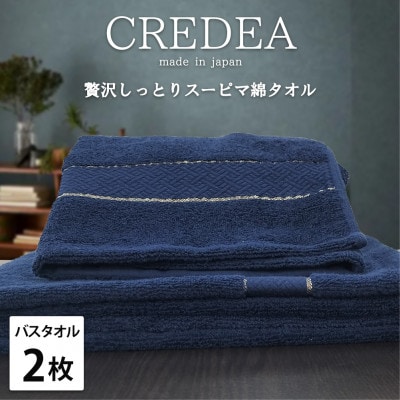 【バスタオル2枚組】贅沢スーピマ綿バスタオル(60×120cm)クレディアNB