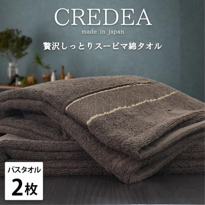 【バスタオル2枚組】贅沢スーピマ綿バスタオル(60×120cm)クレディアBR