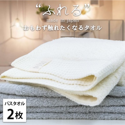 【バスタオル2枚組】思わずふれたくなる しなやかバスタオル(60×120cm) 色アソート