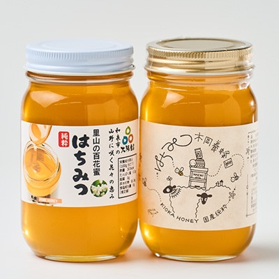 道の駅で大人気のハチミツ(300g×2本)