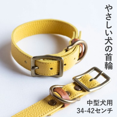 首輪 本革 イタリアンレザー イエロー 中型犬用 (34-42センチ)ペット用品【dc-01ss】