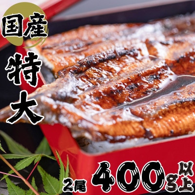 絶品!!国産うなぎ蒲焼き　特大サイズ(2尾×約200g)【配送不可地域：離島】