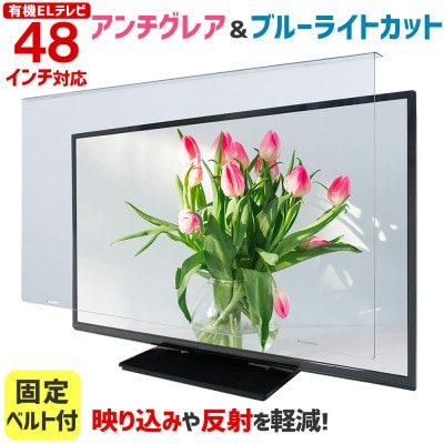 大阪府和泉市　有機ELテレビ48インチ用　テレビ画面保護パネル　アンチグレアタイプ　テレビガード