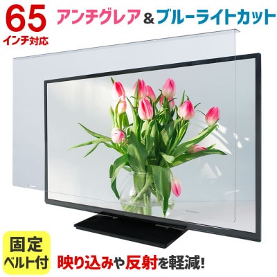 大阪府和泉市　65AG2　65インチ用　テレビ画面保護パネル　アンチグレアタイプ　テレビガード