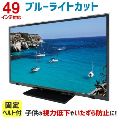 49MBL5　49インチ用　テレビ画面保護パネル　ブルーライトカットタイプ　位置調整用スペーサー付