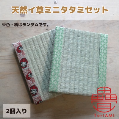 大阪府和泉市　国産　ミニタタミ2点セット　天然イ草　畳【色・柄ランダム】