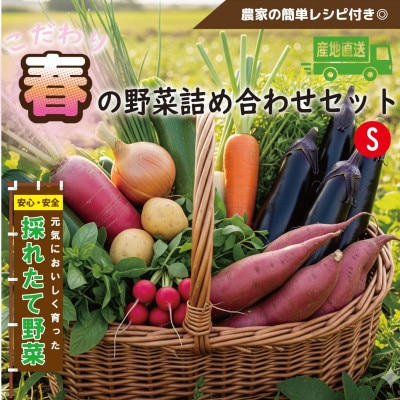 【こだわり春の野菜詰め合わせセット】Sサイズ　栽培期間中農薬・化学肥料・除草剤不使用の旬野菜【配送不可地域：離島】
