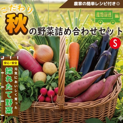 【こだわり秋の野菜詰め合わせセット】Sサイズ　栽培期間中農薬・化学肥料・除草剤不使用の旬野菜【配送不可地域：離島】
