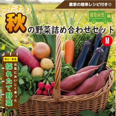 【こだわり秋の野菜詰め合わせセット】Mサイズ　栽培期間中農薬・化学肥料・除草剤不使用の旬野菜【配送不可地域：離島】