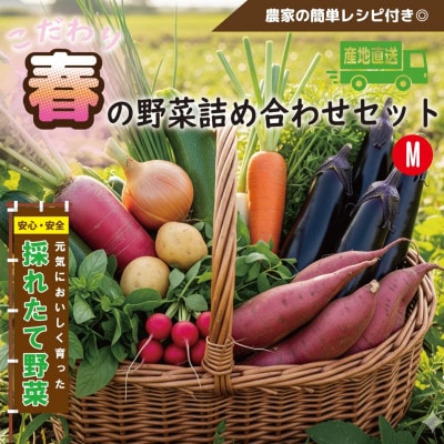【こだわり春の野菜詰め合わせセット】Mサイズ　栽培期間中農薬・化学肥料・除草剤不使用の旬野菜【配送不可地域：離島】