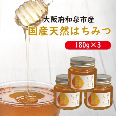 大阪府和泉市　国産天然はちみつ(180g×3)　日蜂協会員　無添加　自家採蜜　大植養蜂園