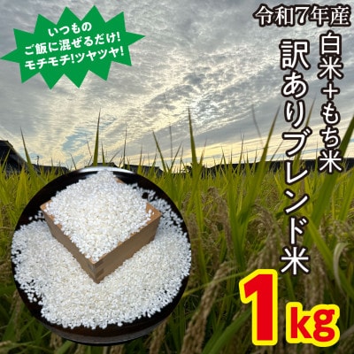 【訳アリ】うるち米+もち米ブレンド米【1kg】【配送不可地域：離島】