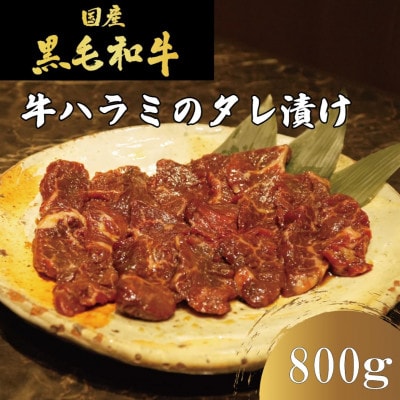 【冷凍】自家製もみダレで漬けたタレ漬け王道!牛ハラミ(さがり)800g(400g×2)　焼肉ほうせん【配送不可地域：離島】