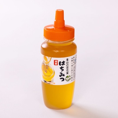 道の駅で大人気のハチミツ(250gノズル付きボトル　3本)