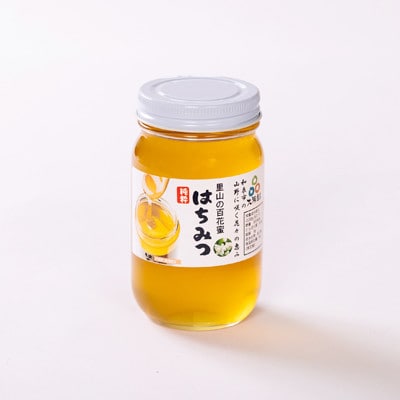 道の駅で大人気のハチミツ(300g瓶詰×3本)