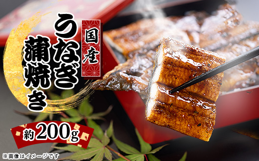 絶品!!国産うなぎ蒲焼き　特大サイズ(約200g)【配送不可地域：離島】