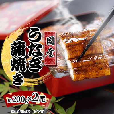 絶品!!国産うなぎ蒲焼き　特大サイズ(2尾×約200g)【配送不可地域：離島】