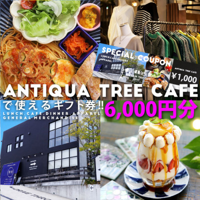 【ふるさと納税】カフェ利用ギフトカード　￥1000×6枚(CW003-SJ)