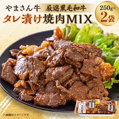黒毛和牛やまさん牛　タレ漬け焼肉MIX250g×2【配送不可地域：離島】